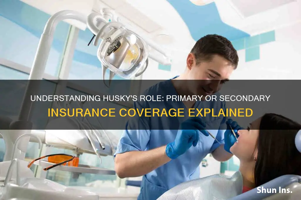 is husky a primary or secondary insurance