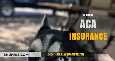 Is Husky Aca Insurance Right for Your Healthcare Needs?