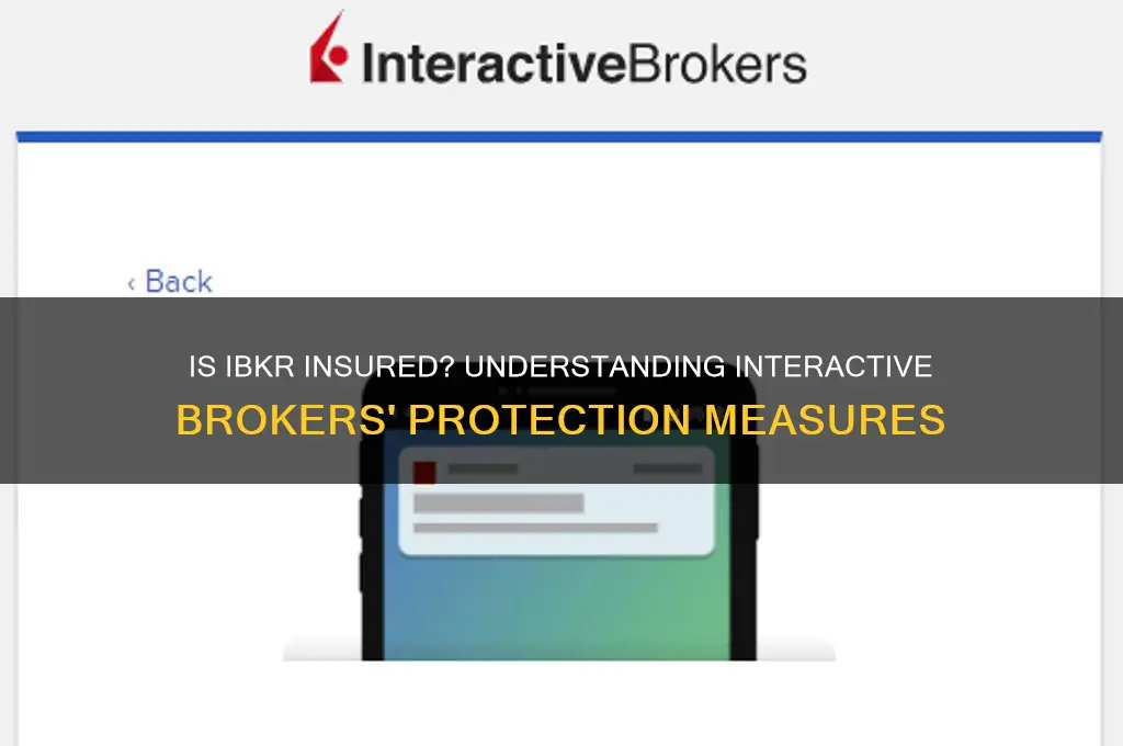 is ibkr insured