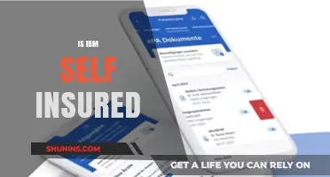 Is IBM Self-Insured? Unraveling the Tech Giant's Health Coverage Strategy