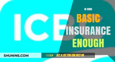 Is ICBC Basic Insurance Enough for Your Vehicle Protection?