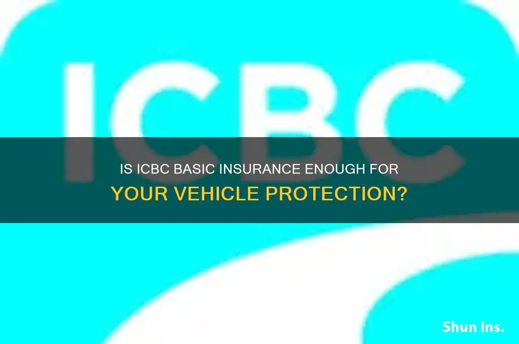 is icbc basic insurance enough