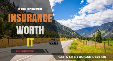 ICBC Insurance Alternatives: Are They Worth the Switch?