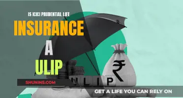 ICICI Prudential Life Insurance: ULIP or Not?