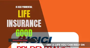 ICICI Prudential Life Insurance: Is It Worth the Investment?