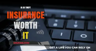 ID Theft Insurance: Worth the Cost?