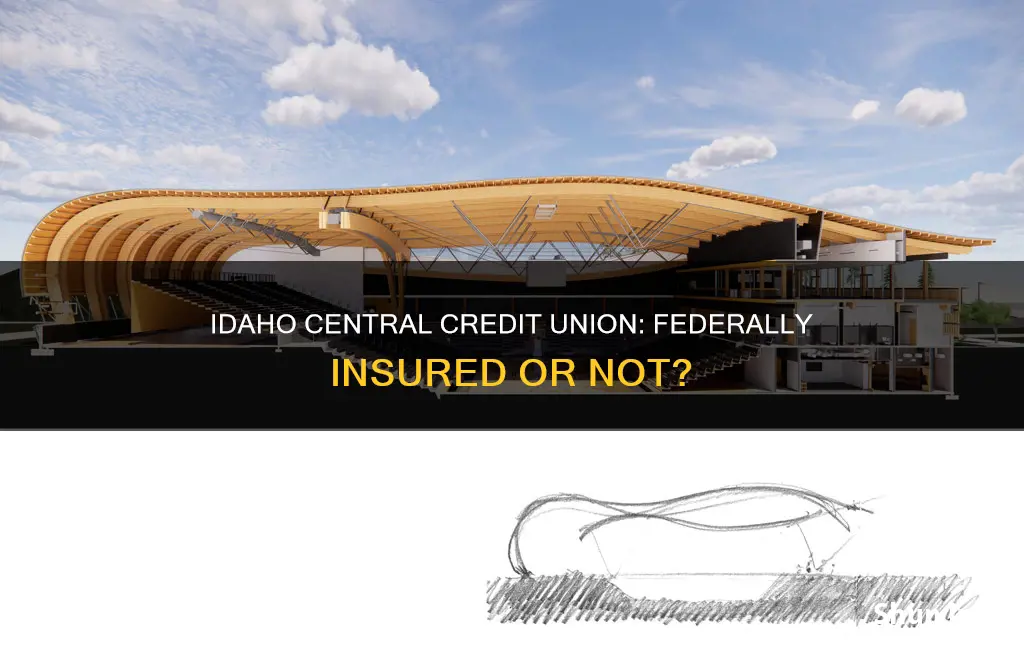is idaho central credit union federally insured