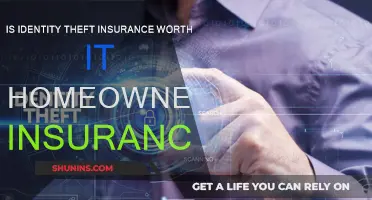 Identity Theft Insurance: A Worthy Homeowners Add-on?