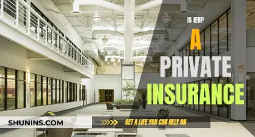 Understanding IEHP: Private Insurance or Government-Funded Program?