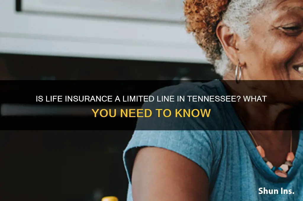 is ife insurance a limited line in tn