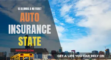 Auto Insurance Claims in Illinois: Understanding No-Fault Laws