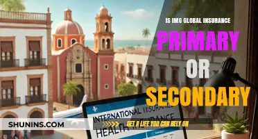 Understanding IMG Global Insurance: Primary or Secondary Coverage Explained
