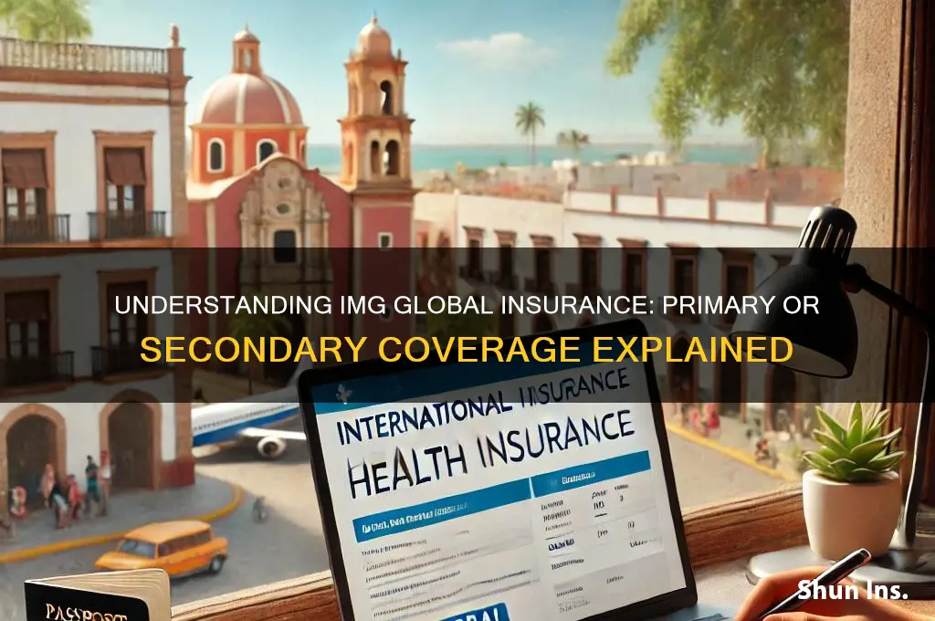 is img global insurance primary or secondary