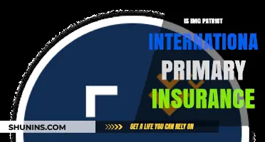 Is IMG Patriot International Primary Insurance Right for Your Global Needs?