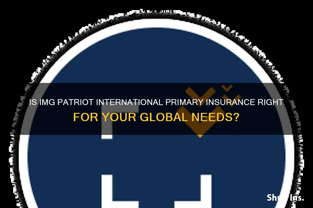 is img patriot international primary insurance