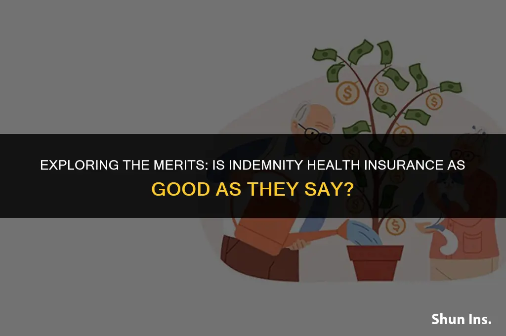 is indemnity health insurance as goos
