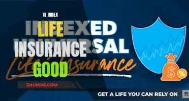 Index Life Insurance: Good or Bad Idea?