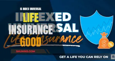 Universal Life Insurance: Is Index Coverage a Good Option?