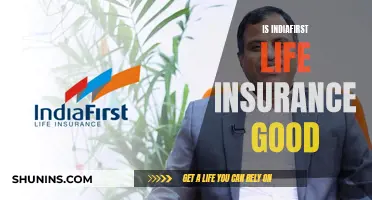 IndiaFirst Life Insurance: A Smart Choice?