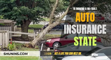 Auto Insurance Claims in Indiana: Understanding No-Fault Laws