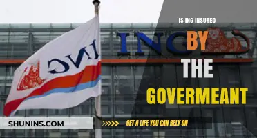 Is ING Insured by the Government? Understanding Deposit Protection