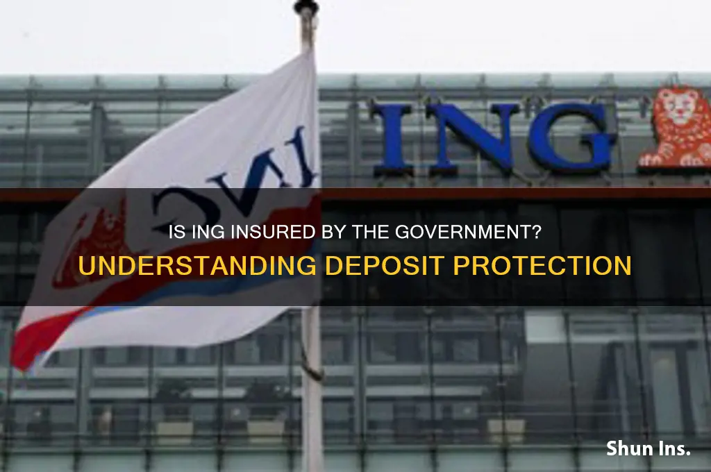 is ing insured by the govermeant