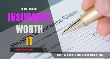 Instrument Insurance: Is It Worth the Cost?