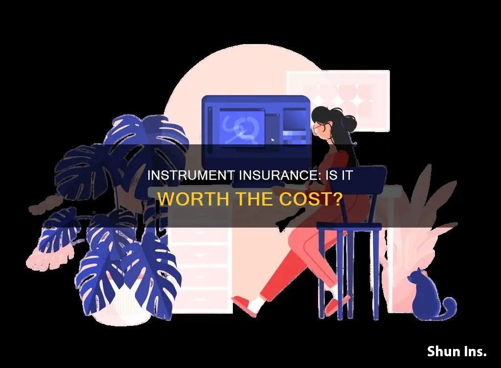 is instrument insurance worth it
