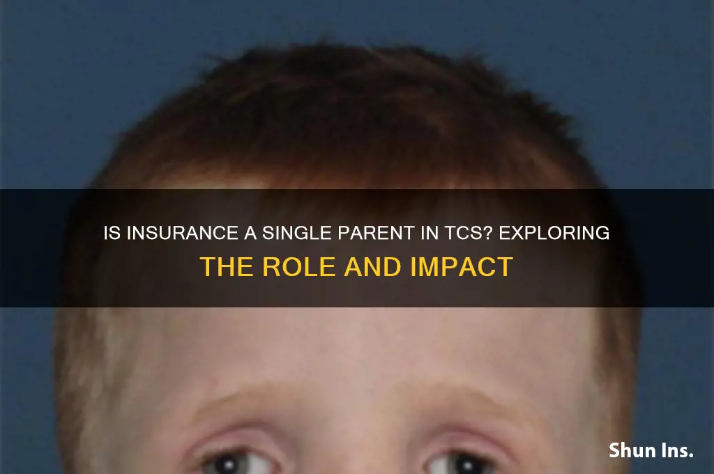is insurance 1 parent in tcs