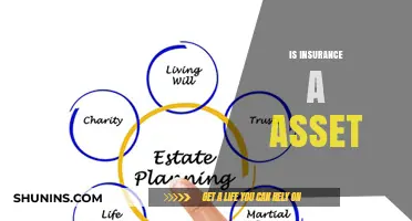 Is Insurance an Asset? Understanding Its Role in Financial Planning