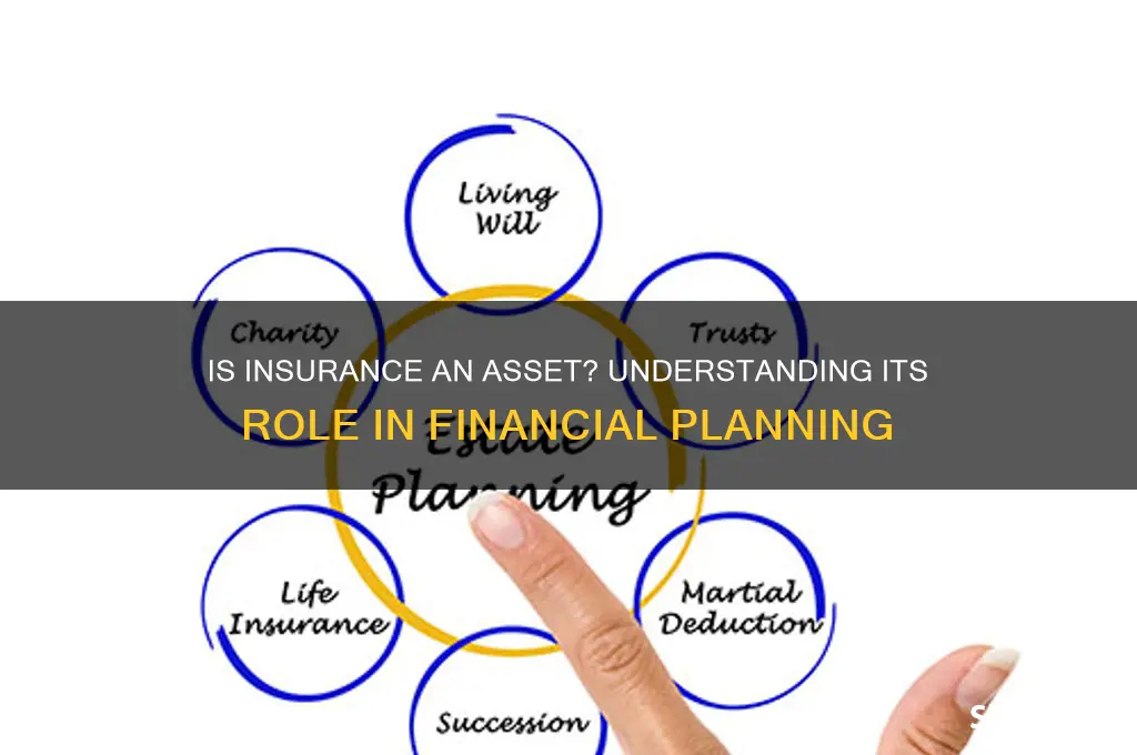 is insurance a asset