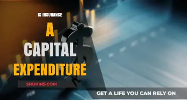 Is Insurance a Capital Expenditure? Understanding Financial Classification
