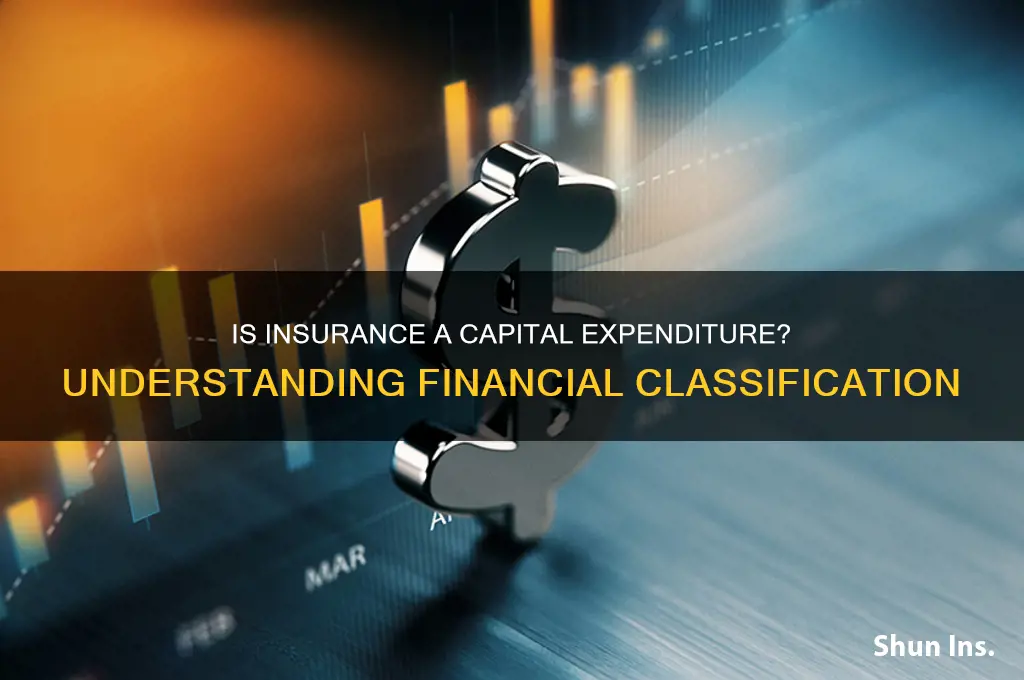 is insurance a capital expenditure