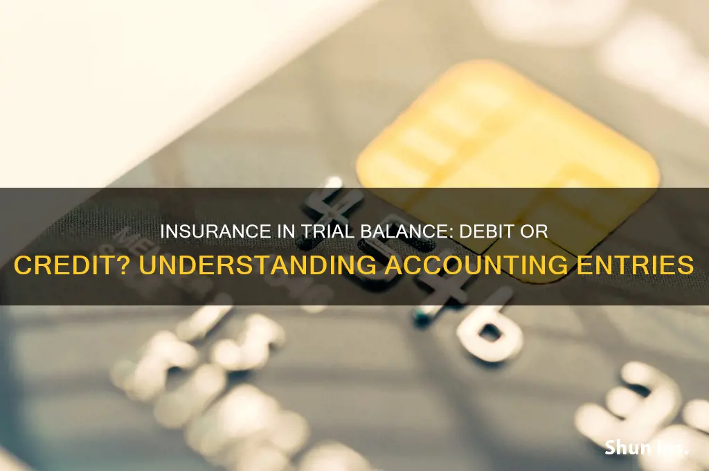 is insurance a debit or credit in trial balance