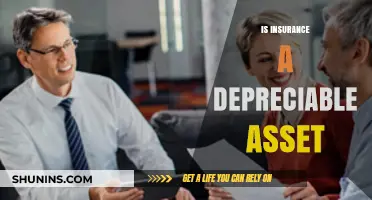 Is Insurance a Depreciable Asset? Understanding Its Financial Treatment