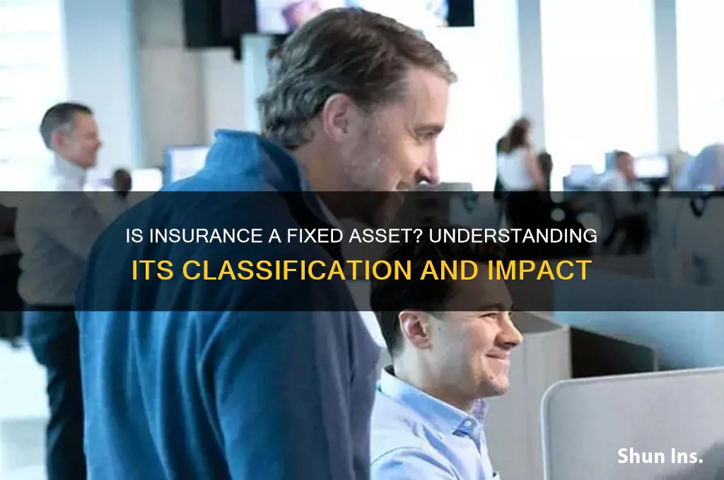 is insurance a fixed asset