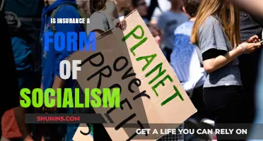 Is Insurance Socialist? Exploring the Intersection of Risk and Redistribution