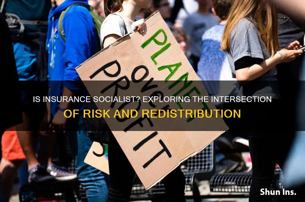 is insurance a form of socialism