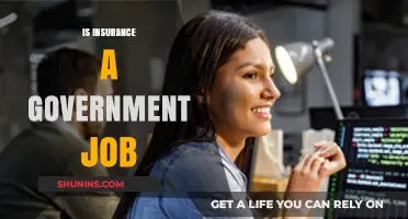 Is Insurance a Government Job? Exploring the Role and Sector