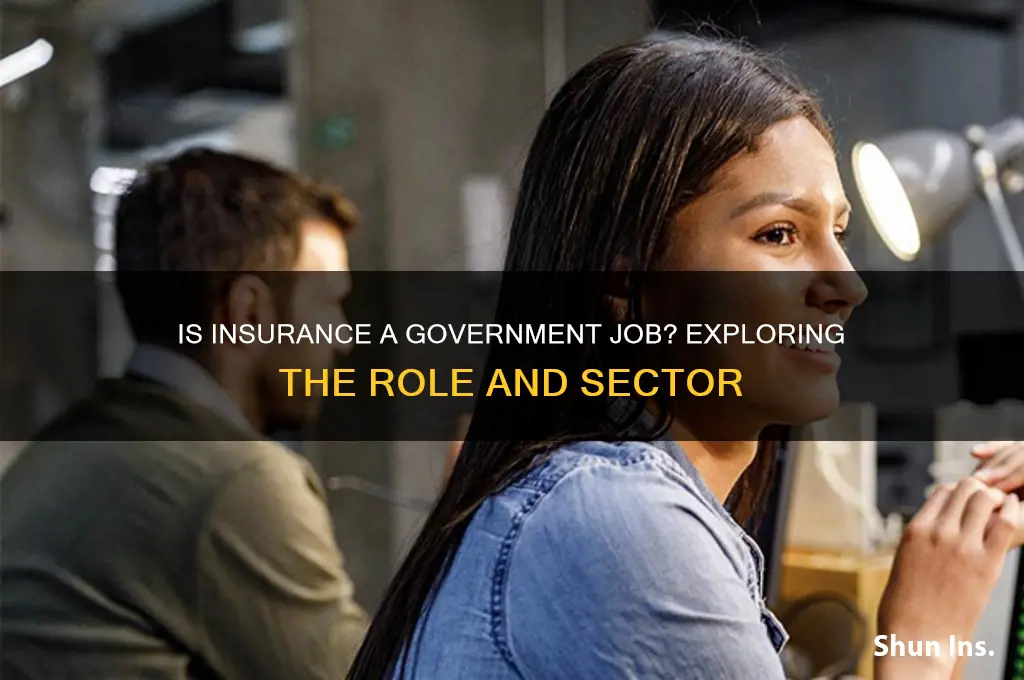is insurance a government job