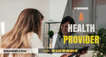 Understanding Insurance: Is It a Health Provider?