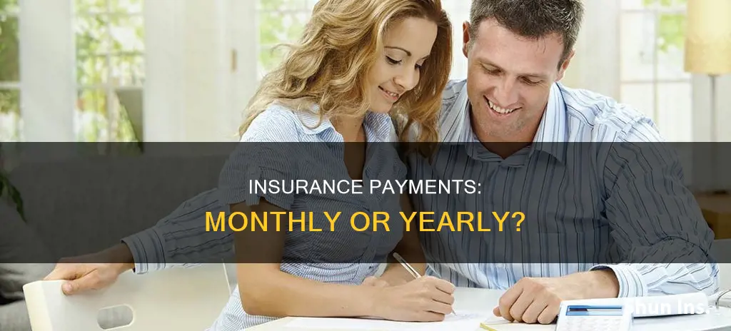 is insurance a monthly payment