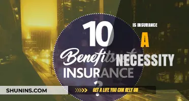 Is Insurance a Necessity? Exploring the Pros, Cons, and Risks