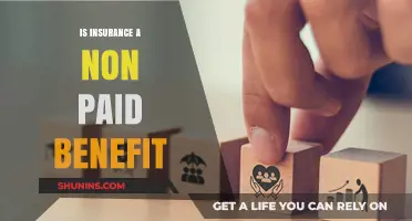 Is Insurance a Non-Paid Benefit? Understanding Its Value and Costs