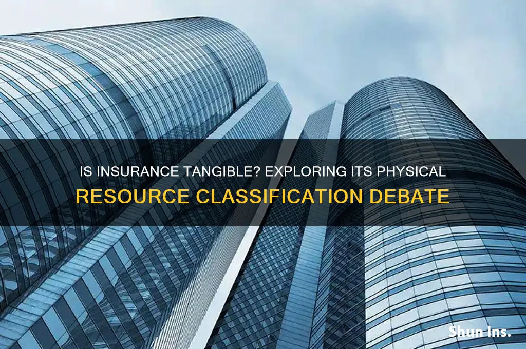 is insurance a physical resource