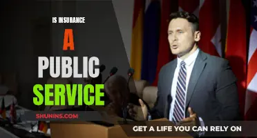 Insurance: A Public Service or Private Good?