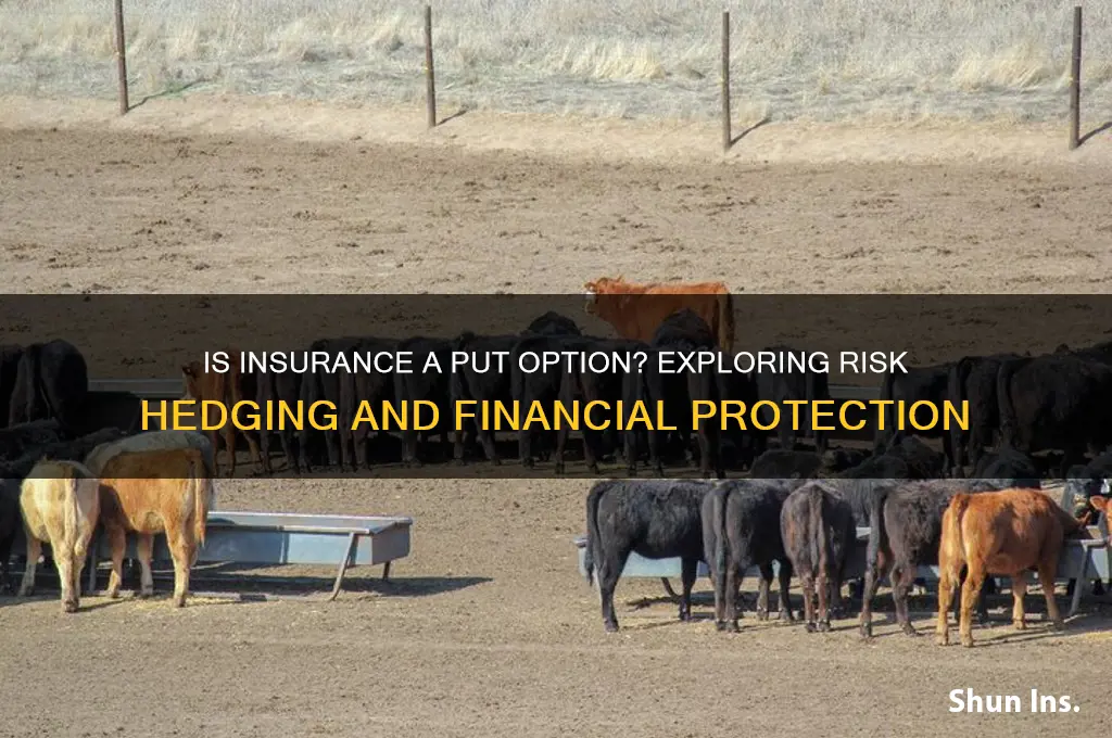 is insurance a put option