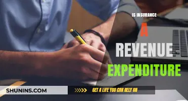 Is Insurance a Revenue Expenditure? Understanding Financial Classification