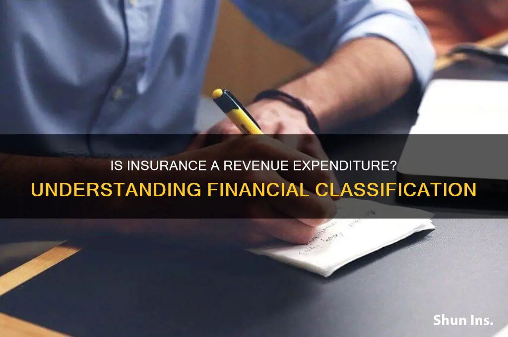is insurance a revenue expenditure