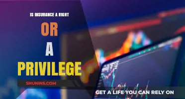 Is Insurance a Right or Privilege? Exploring the Ethical Debate